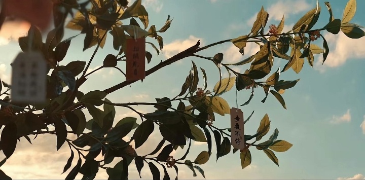 一生热爱 步履不停！聂九罗！好浪漫！！