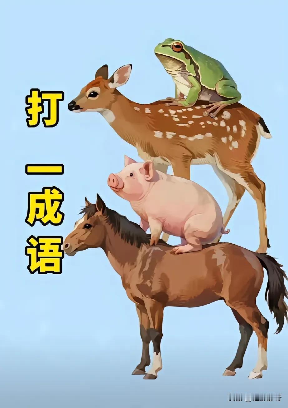 图中有四种不同的动物，这是什么成语呢？