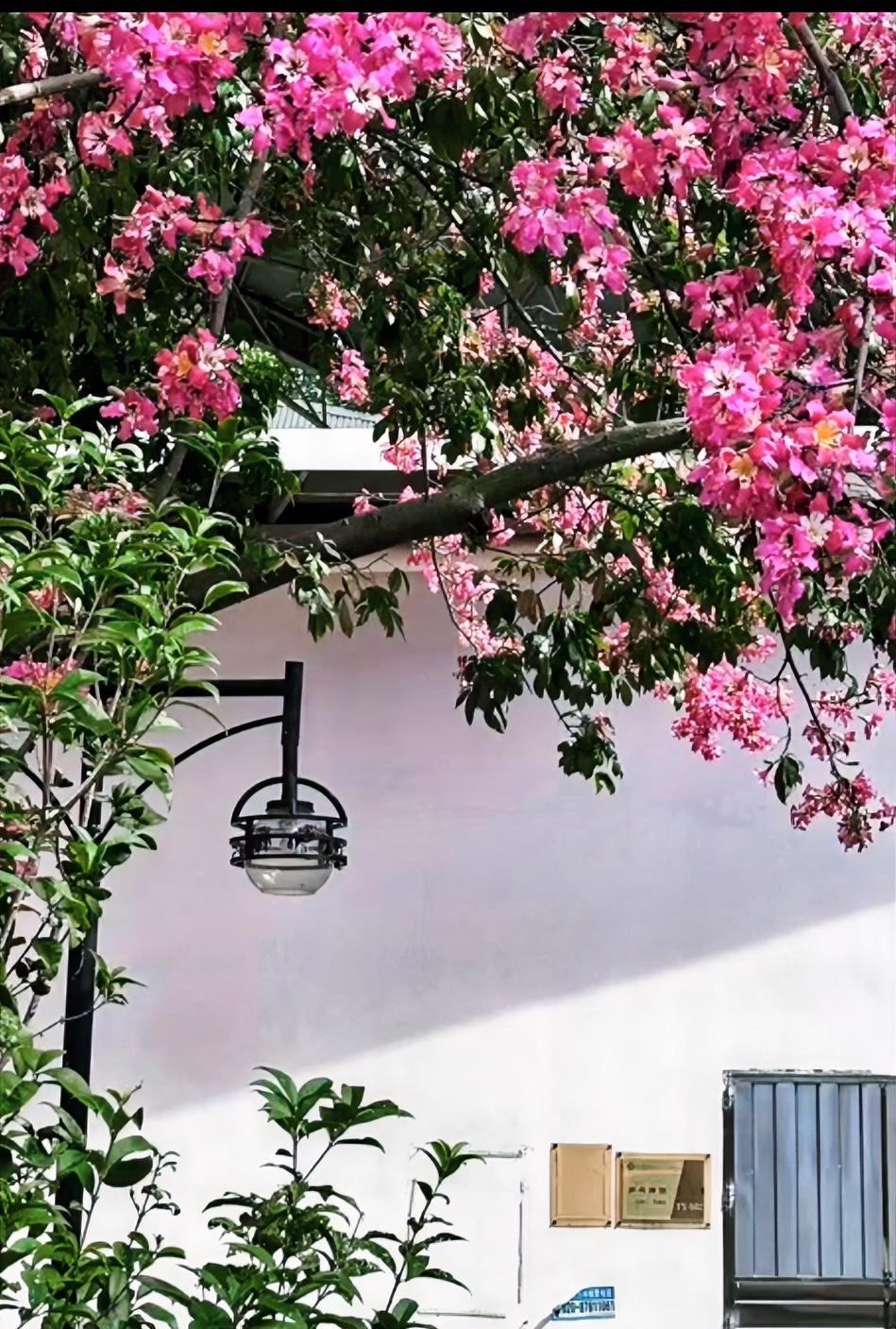 麻将桌前，钱没了，人也散了。
有人输得倾家荡产，有人输得妻离子散。
这不是娱乐，