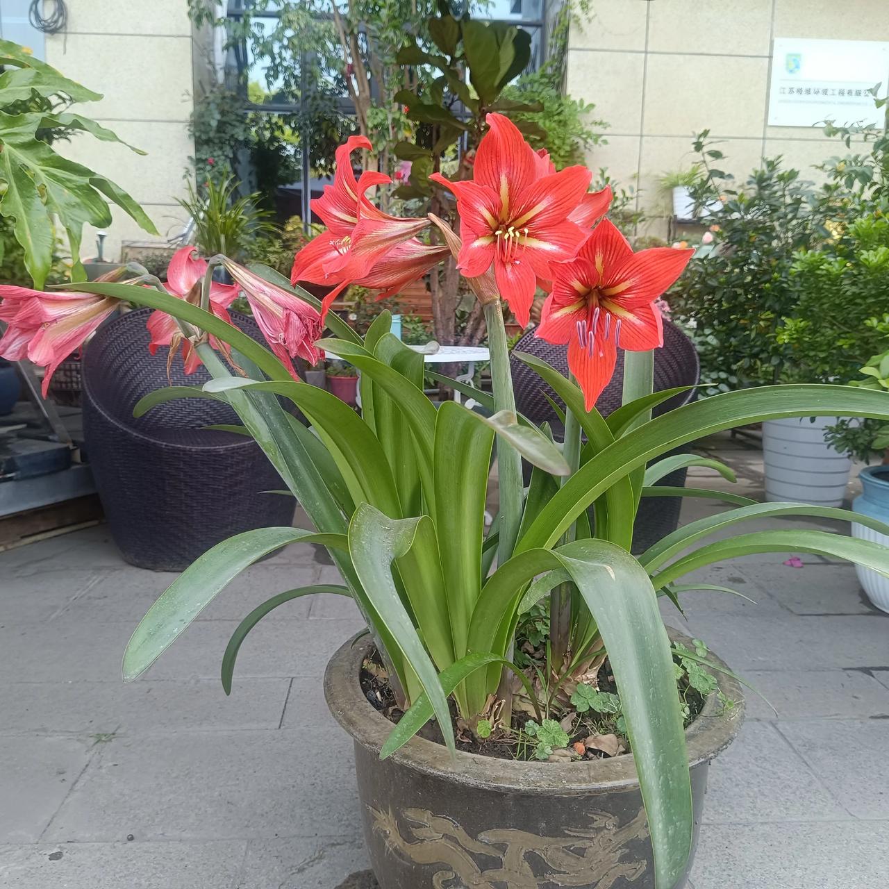 都说缺钱，我儿子招加油工招两个月了还没招到，到手4000五险一金，还有年终奖，就