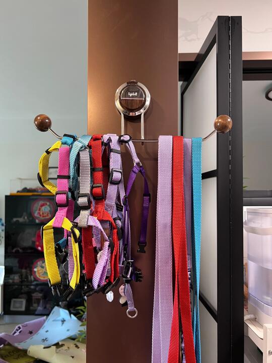 我可以称它为胸背收纳神器吗？