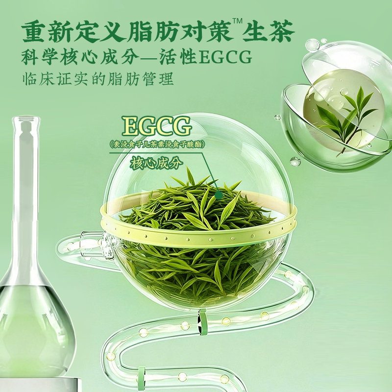 英贝健脂肪对策无糖抹茶绿茶500ml*5瓶 