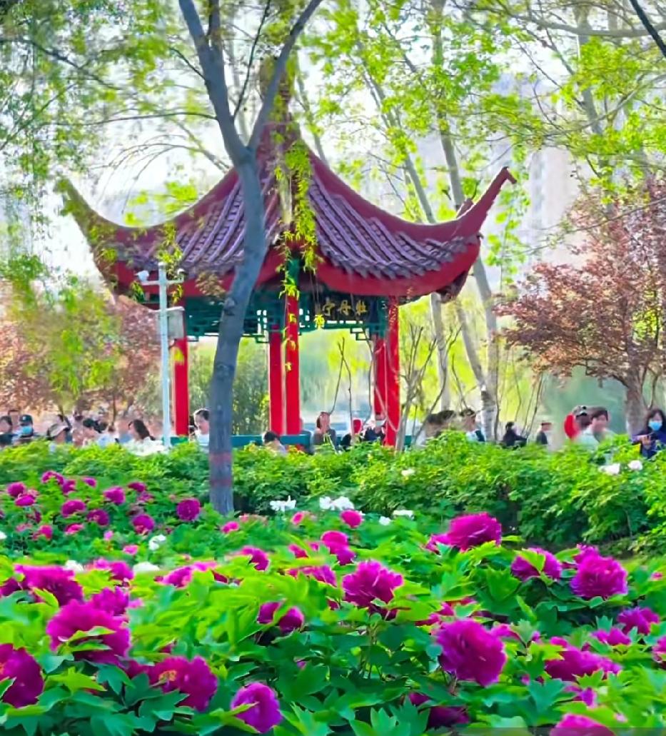 早上起来，拥抱太阳，心情爽爽。朗诵诗圣杜甫的3首咏春诗，并抄写下来。

曾几何时