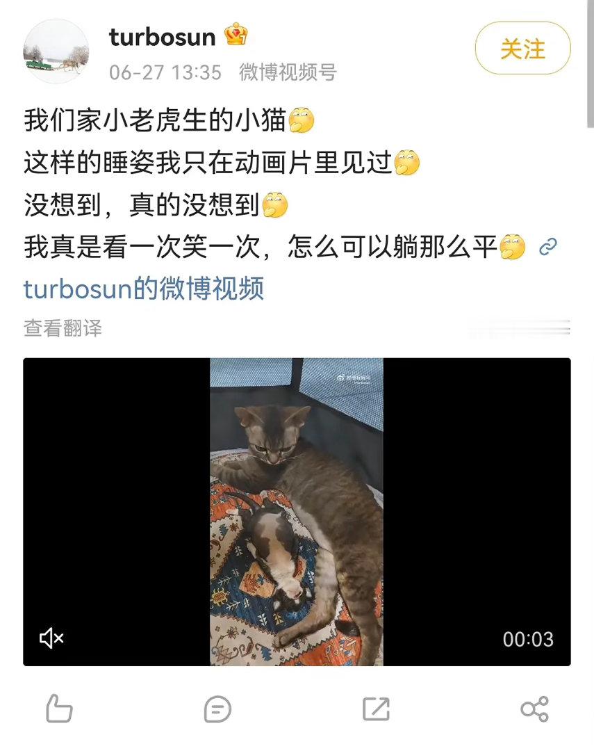 孙俪的松弛感有人懂吗 