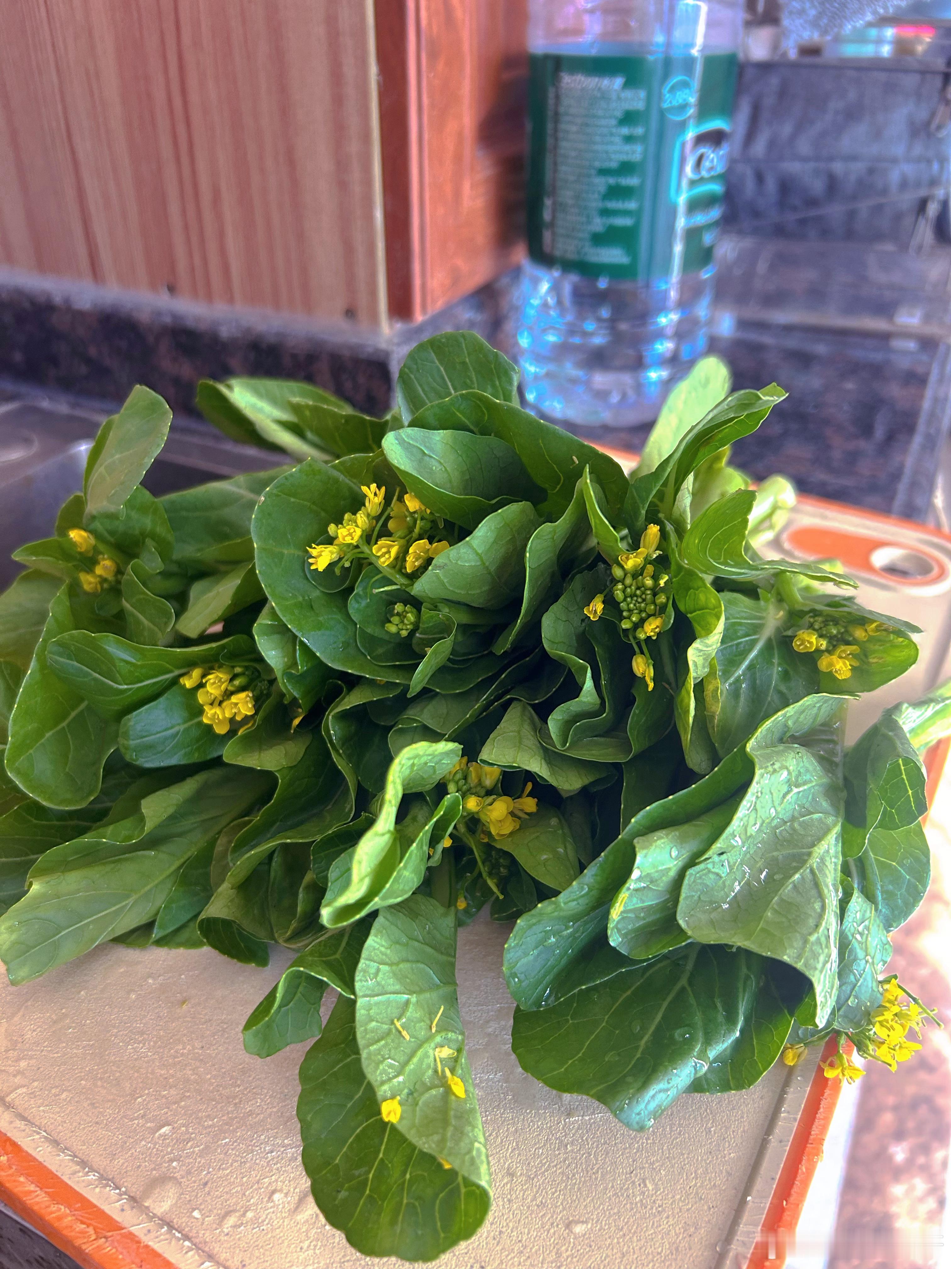 本来是食物，后来成了摆设喜欢柴米油盐带来的小浪漫 三亚