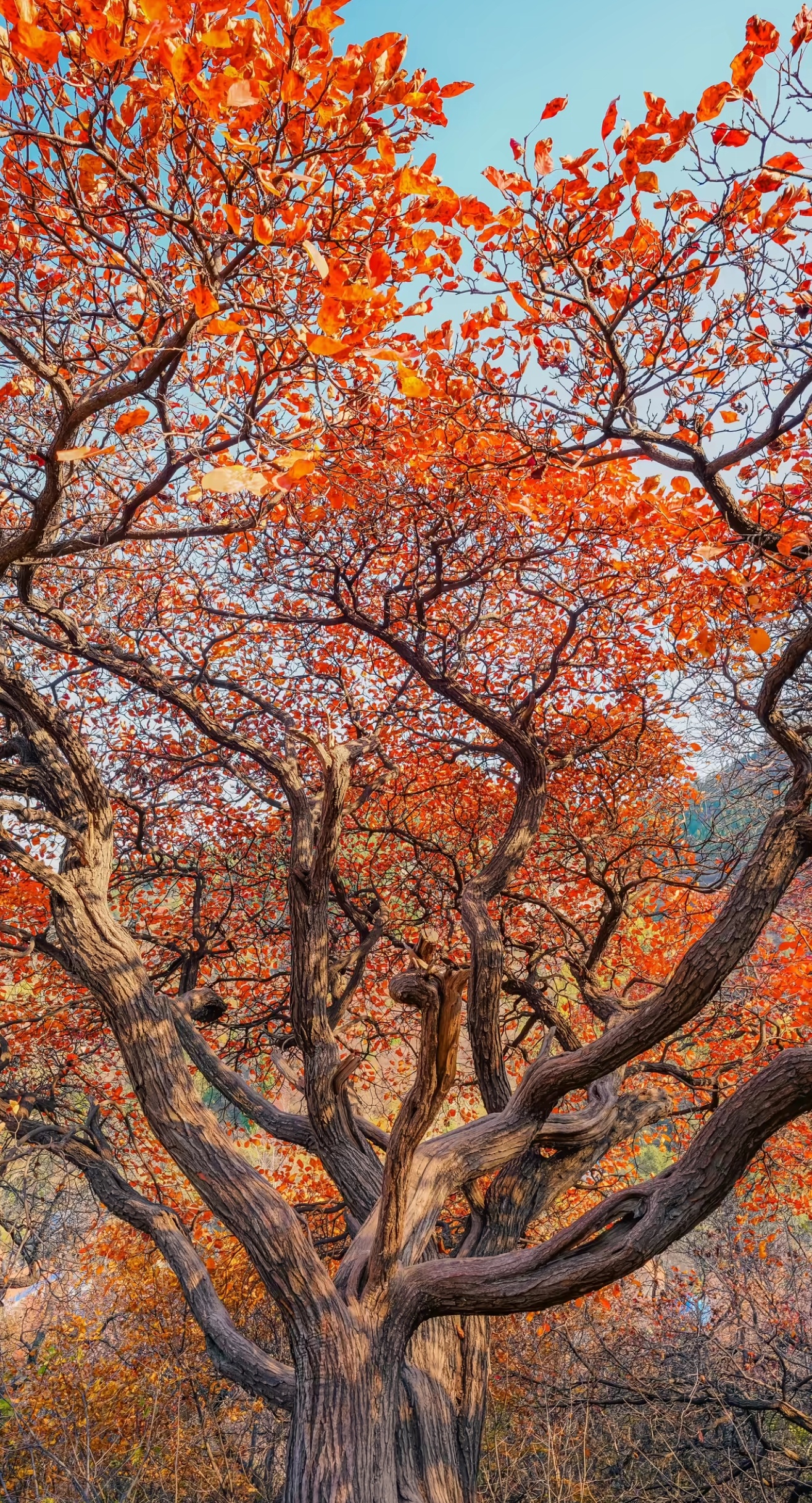 靠谱，最朴素的顶级褒奖     赞美一个人的词藻纷繁如星，“靠谱”二字，却以其质