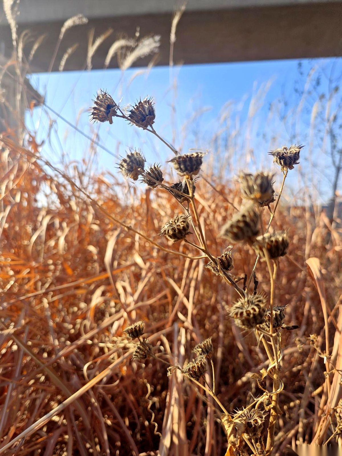 病房里新来的大姐，嗓门大，爱笑，跟谁都能唠上半天。
结果昨天聊起她男人，她忽然叹