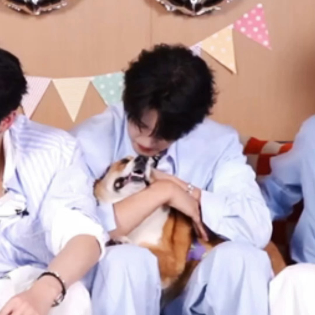 张极带狗直播张极带啵啵直播张极太会给惊喜了！出道600天纪念直播，不仅有他还有啵