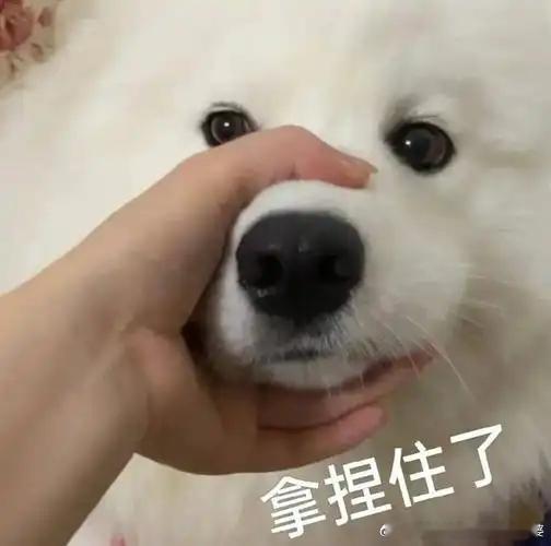 中美因台湾问题对抗不符美国利益驻以使馆发言人讲中美关系，这是坐实了以色列是美国亲