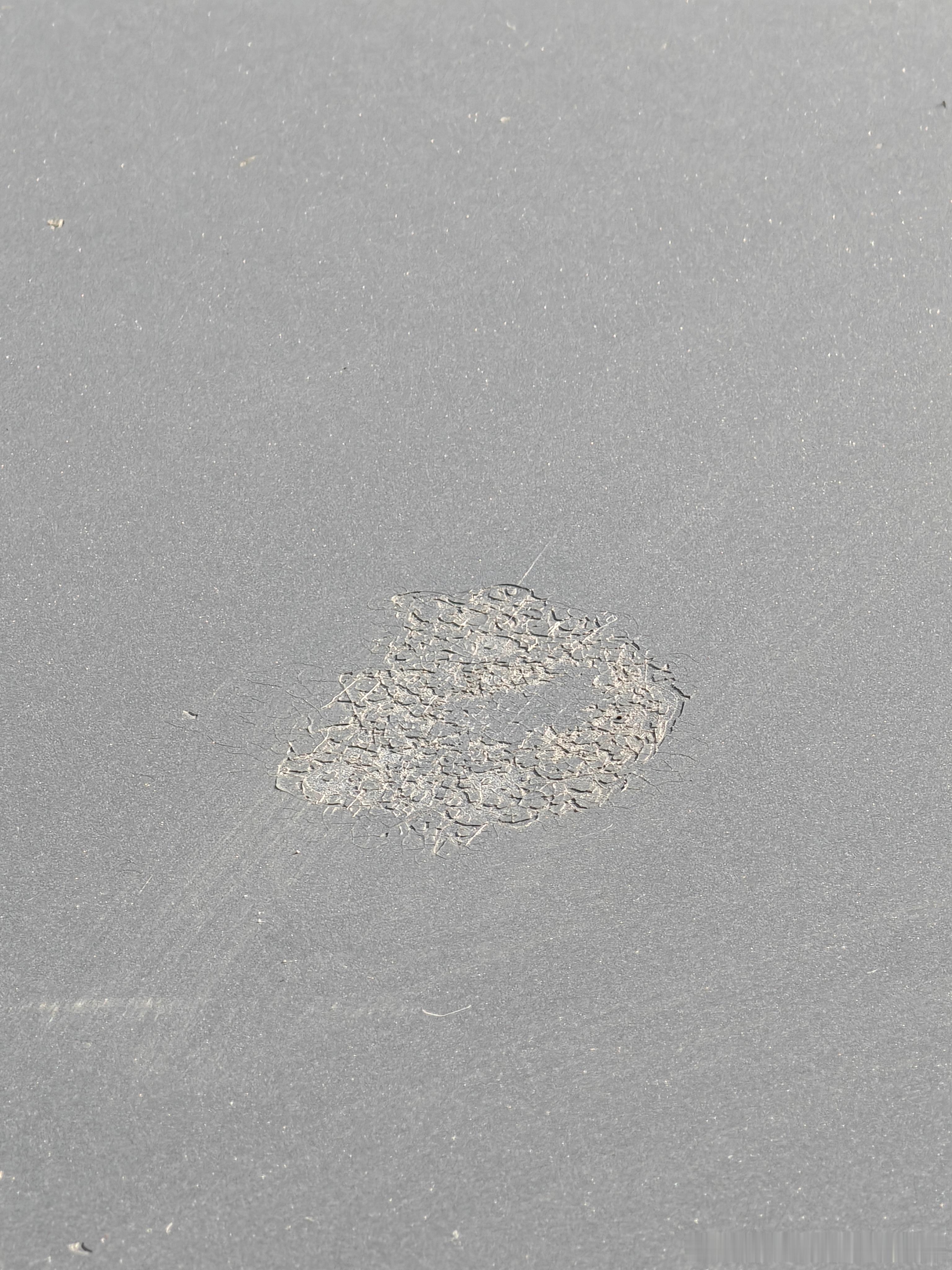 车漆裂了，硬币那么大一块，好像是鸟屎或树胶，下辆车得整车衣了不过话说回来，呵，下