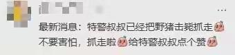 常州弘阳广场附近，有人以为谁家把狗养成了猪，走近一看：是野猪。多位网友证实，已被