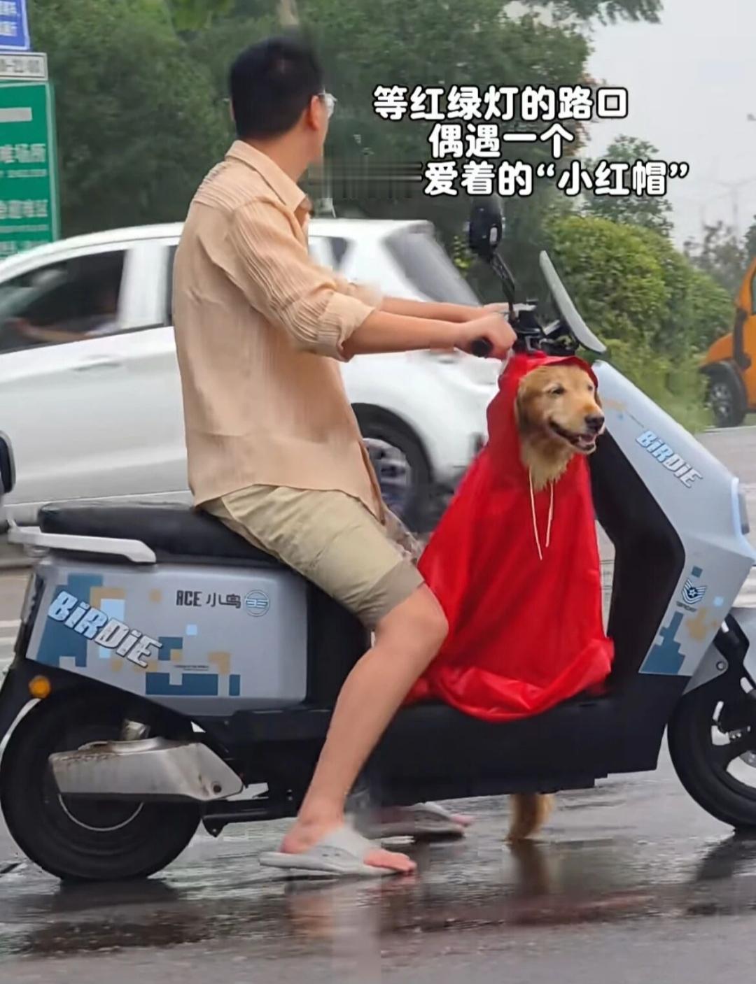 日子怎么可能和谁过都一样呢？
相信他对家人会更有爱心！
对吗？