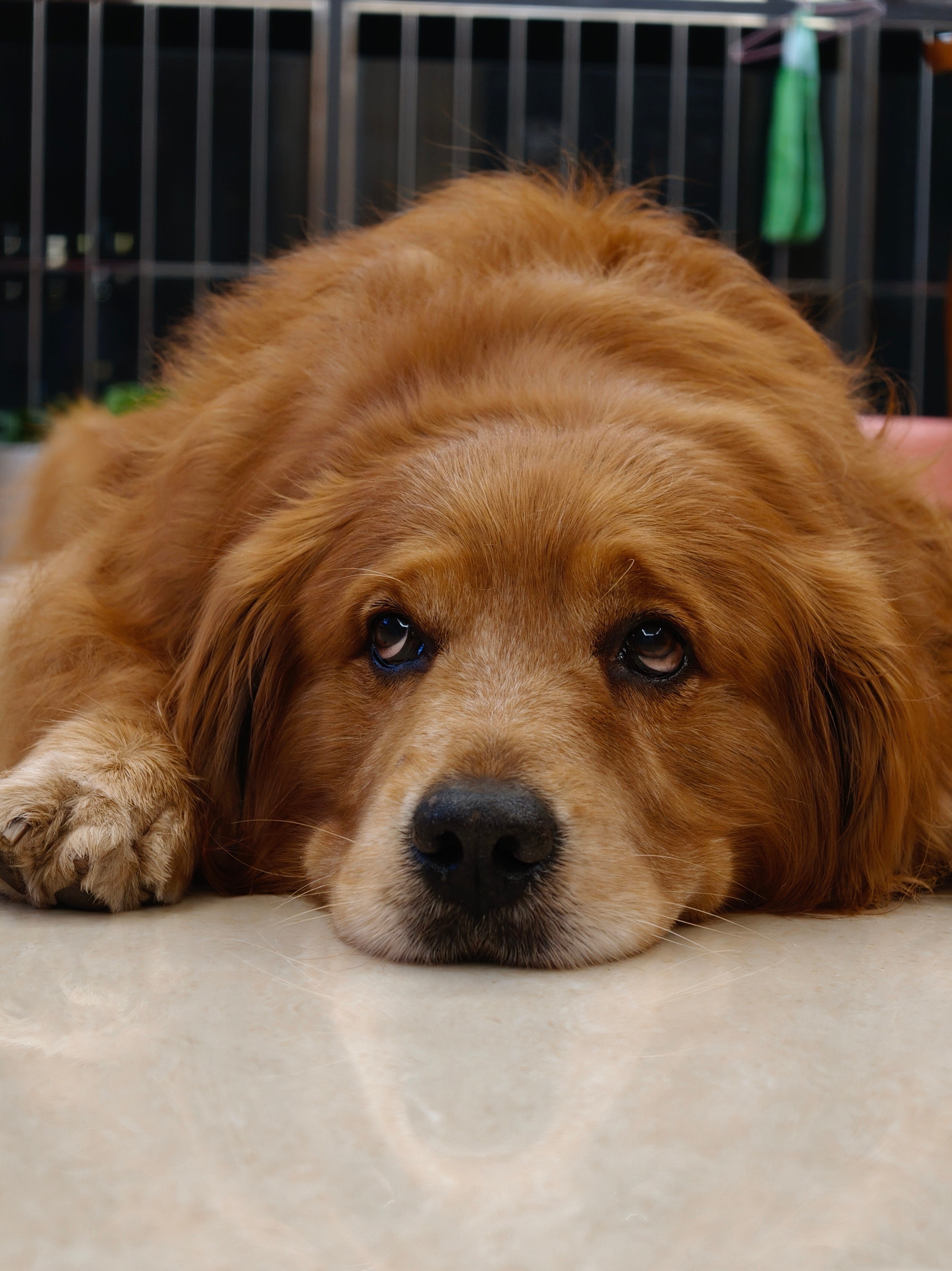 非常喜欢OPPO Find X9系列的4k实况，对于喜欢拍live的朋友来说，尤