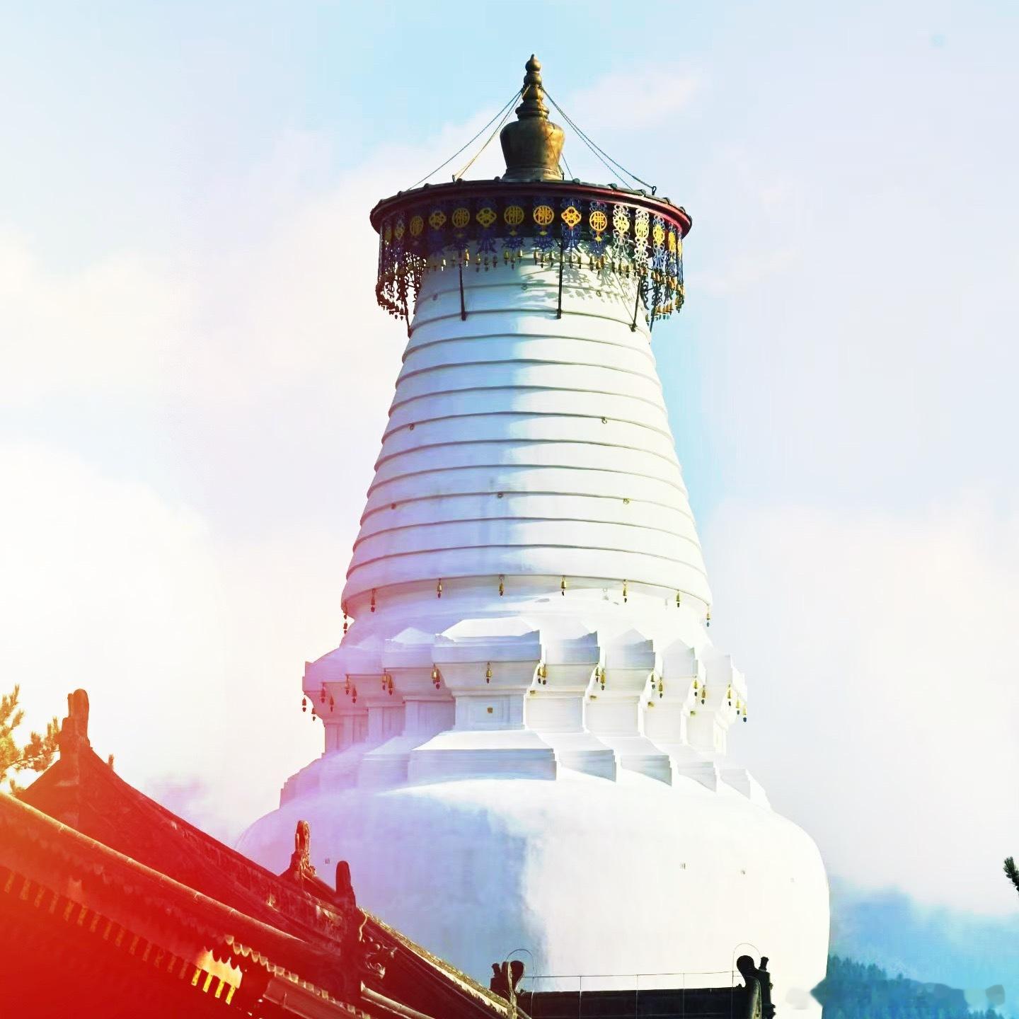 南无阿弥陀佛南无阿弥陀佛南无阿弥陀佛[祈祷][祈祷][祈祷]我的佛系生活微博佛学