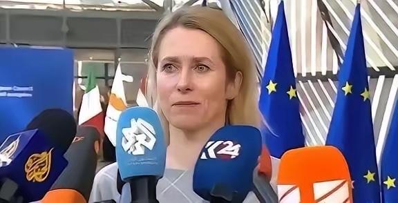 就在前不久，欧盟正式摊牌：将中国彻底踢出总额高达935亿欧元的“地平线欧洲”科研