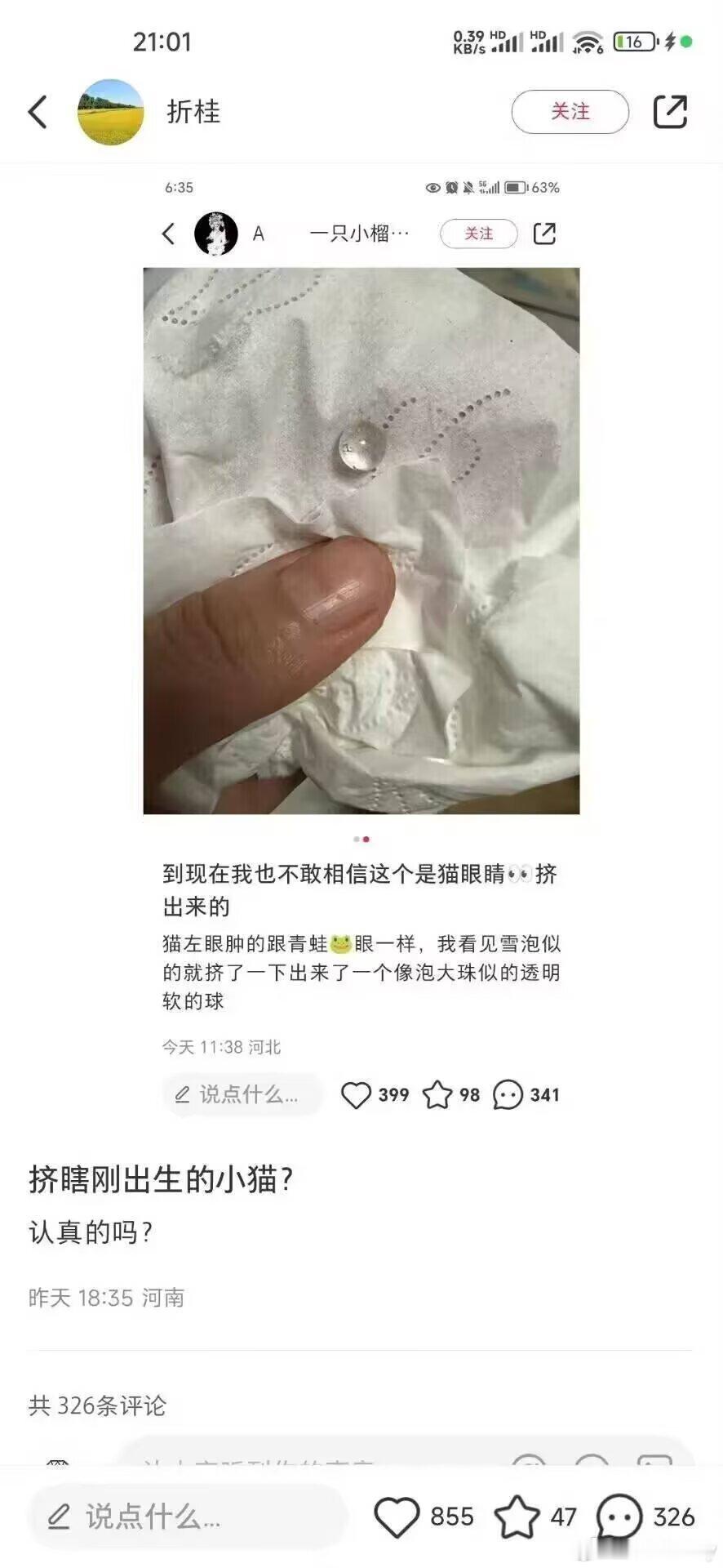 略猫人绞尽脑汁不如爱猫的灵机一动[允悲][允悲][允悲] ​​​