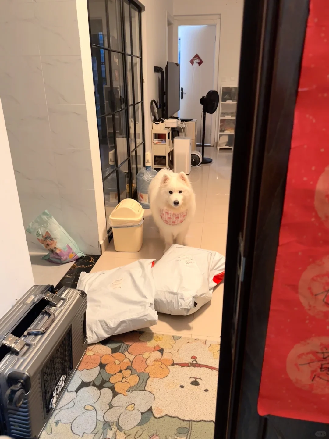 妈妈你出门真的不带我吗