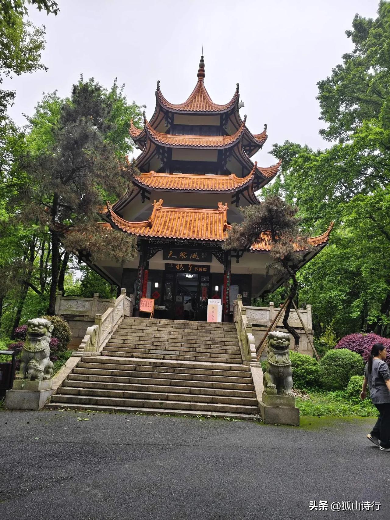 春山揽胜二首  ［文｜狐山诗行］

                      