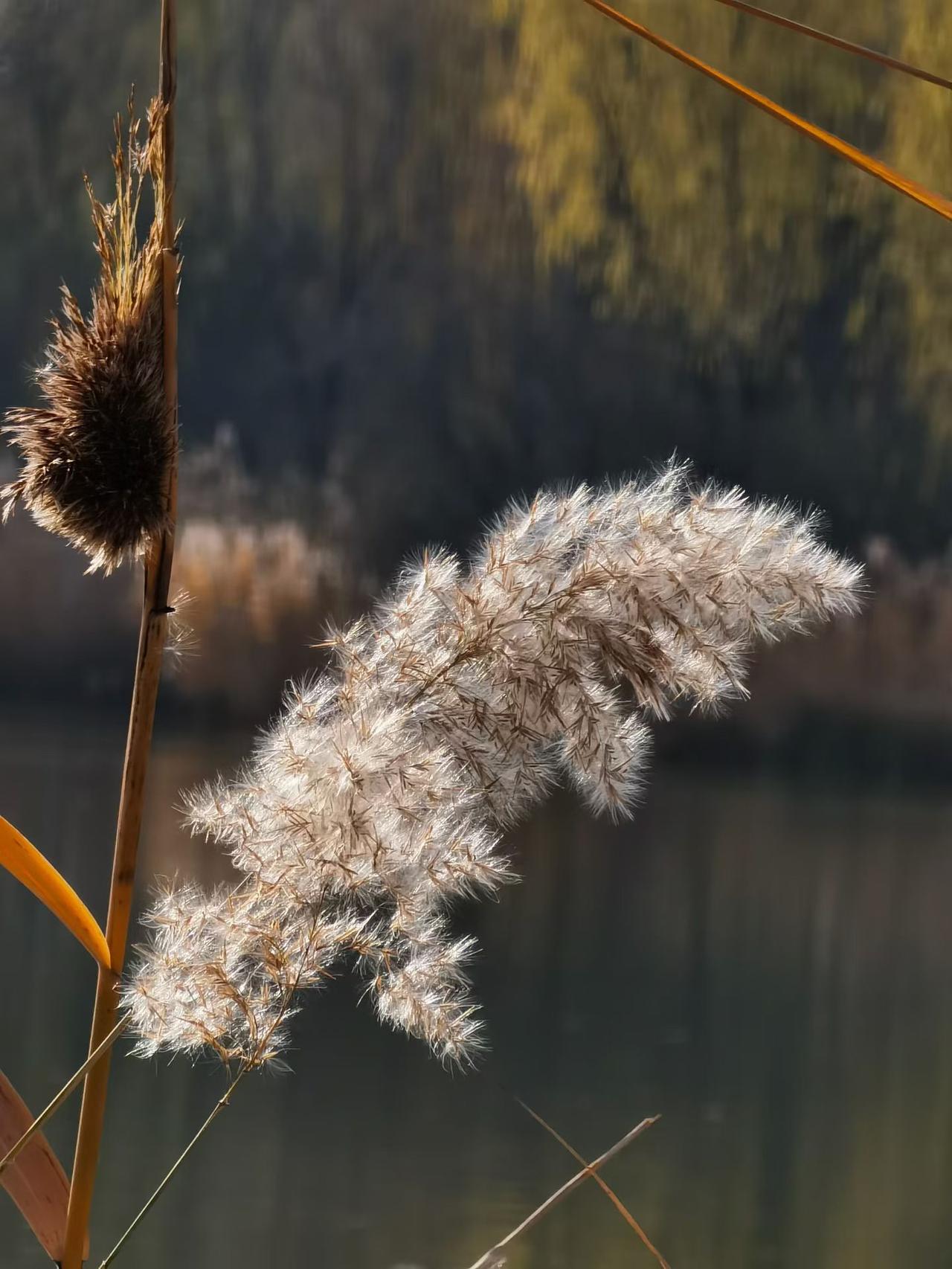 谢邀：有，在深水中救过人，而且差点丢掉小命！
为啥这么说呢！在我十五岁的时候去救