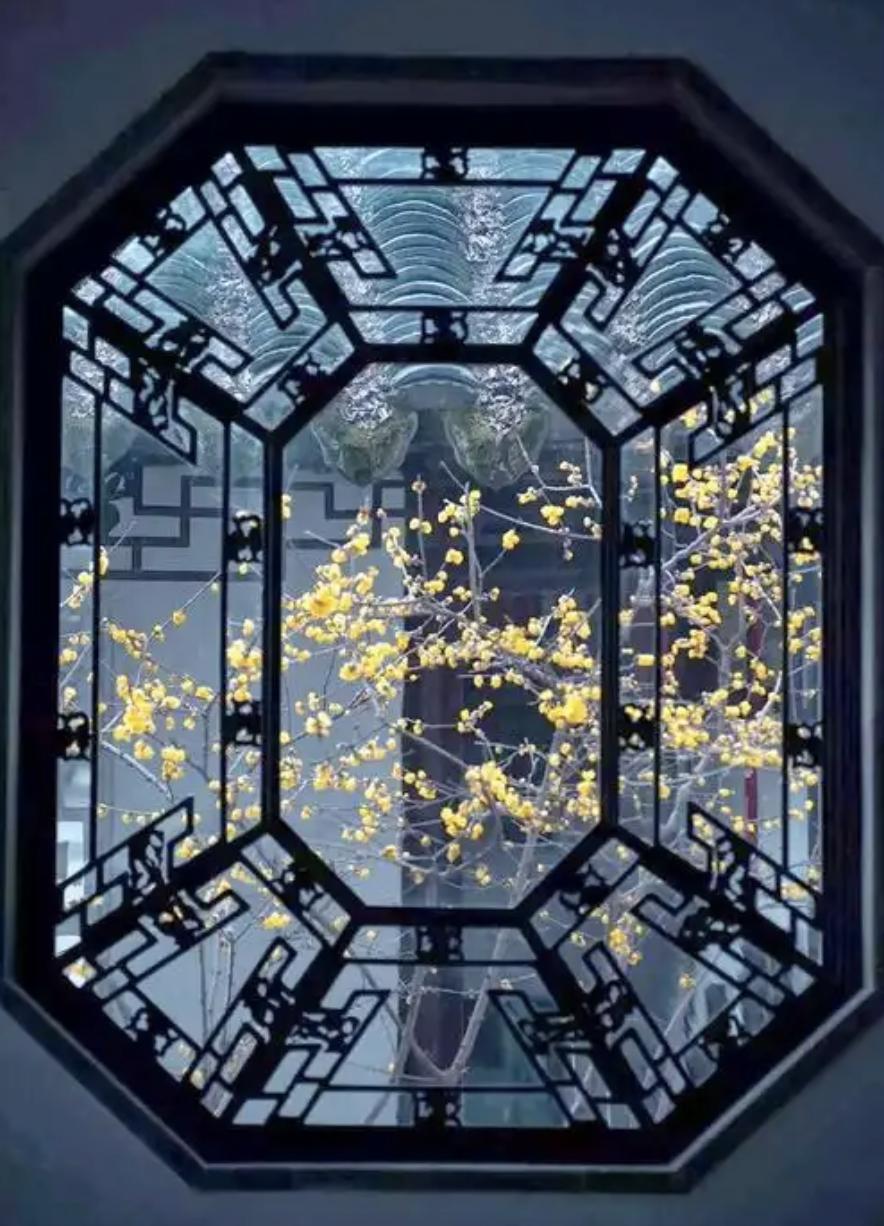 道家有个说法，叫“怒动三焦火，静养一腔春”
接下来这段时间，听我一句——不要生大