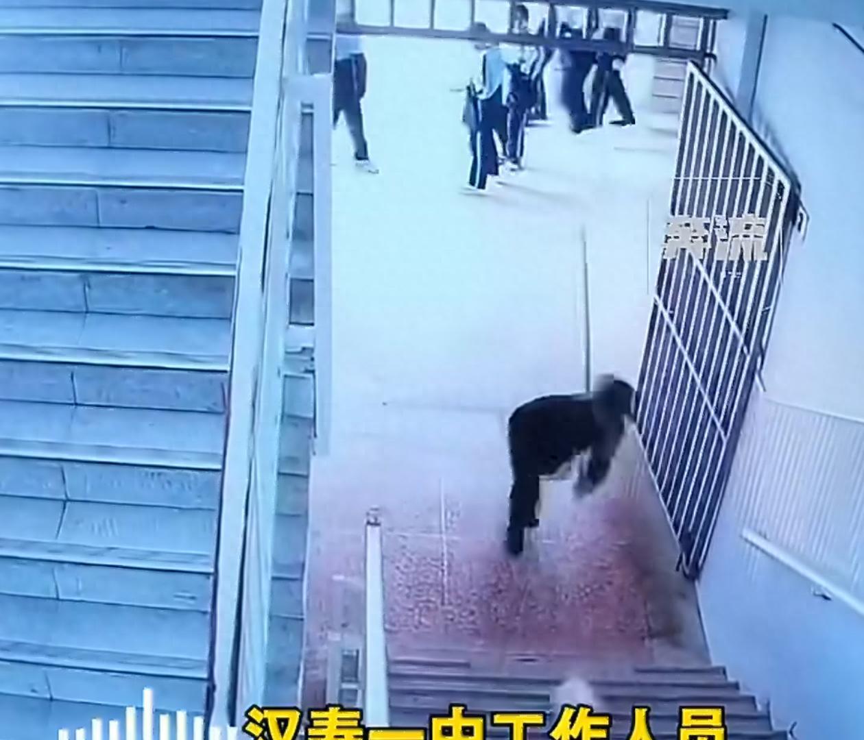 湖南汉寿一中校内引发众怒，保安当着众多在校学生面持棍围堵打死流浪猫，现场画面被拍