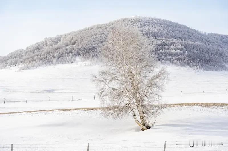 一张图证明冬天来了 想一张图证明冬天来了，那雪景图绝对是yyds！
我之前拍过一