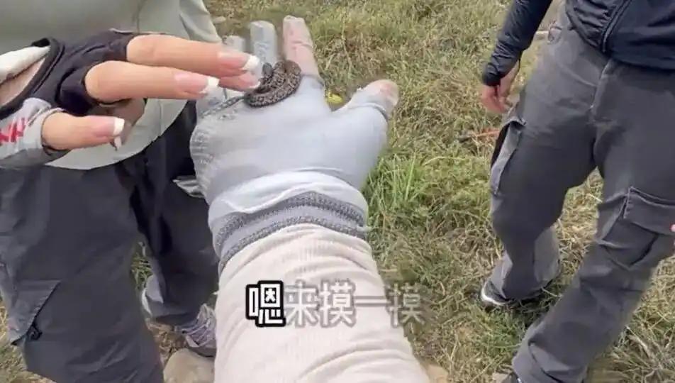 驴友爬山捡到小蛇轮流抚摸？专家：危险又违法！

小蛇缠绕在手指间，一群人轮流抚摸