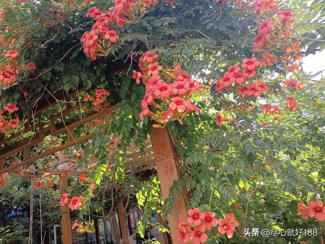 妈妈这一个多月来，一直便秘，妈妈不清醒那几天，还能大便出来，清醒过来以后，再没有