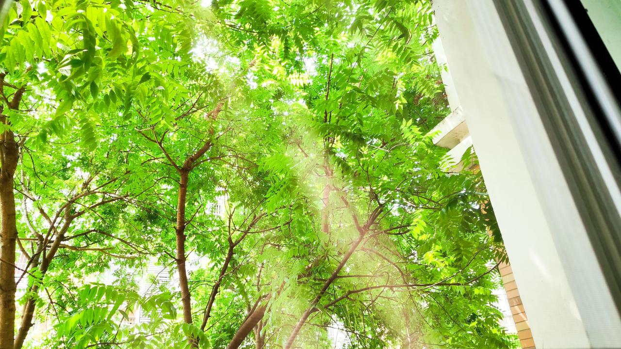 生活随拍自拍 晒生活点滴 关于春天的遐想