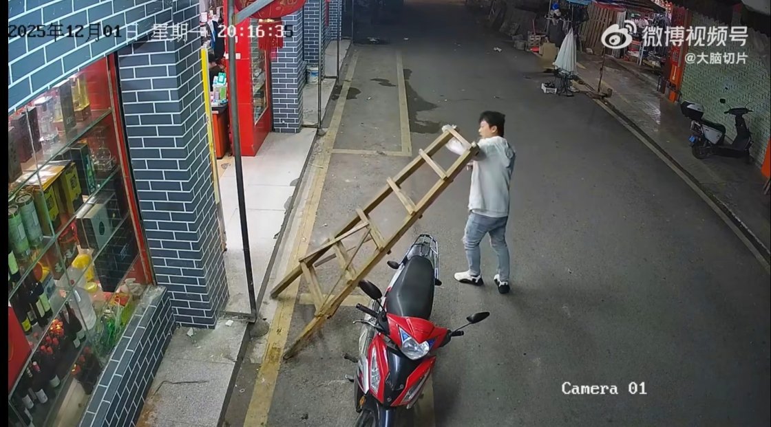 猫 公共场合禁止吸烟吸烟会遭天谴