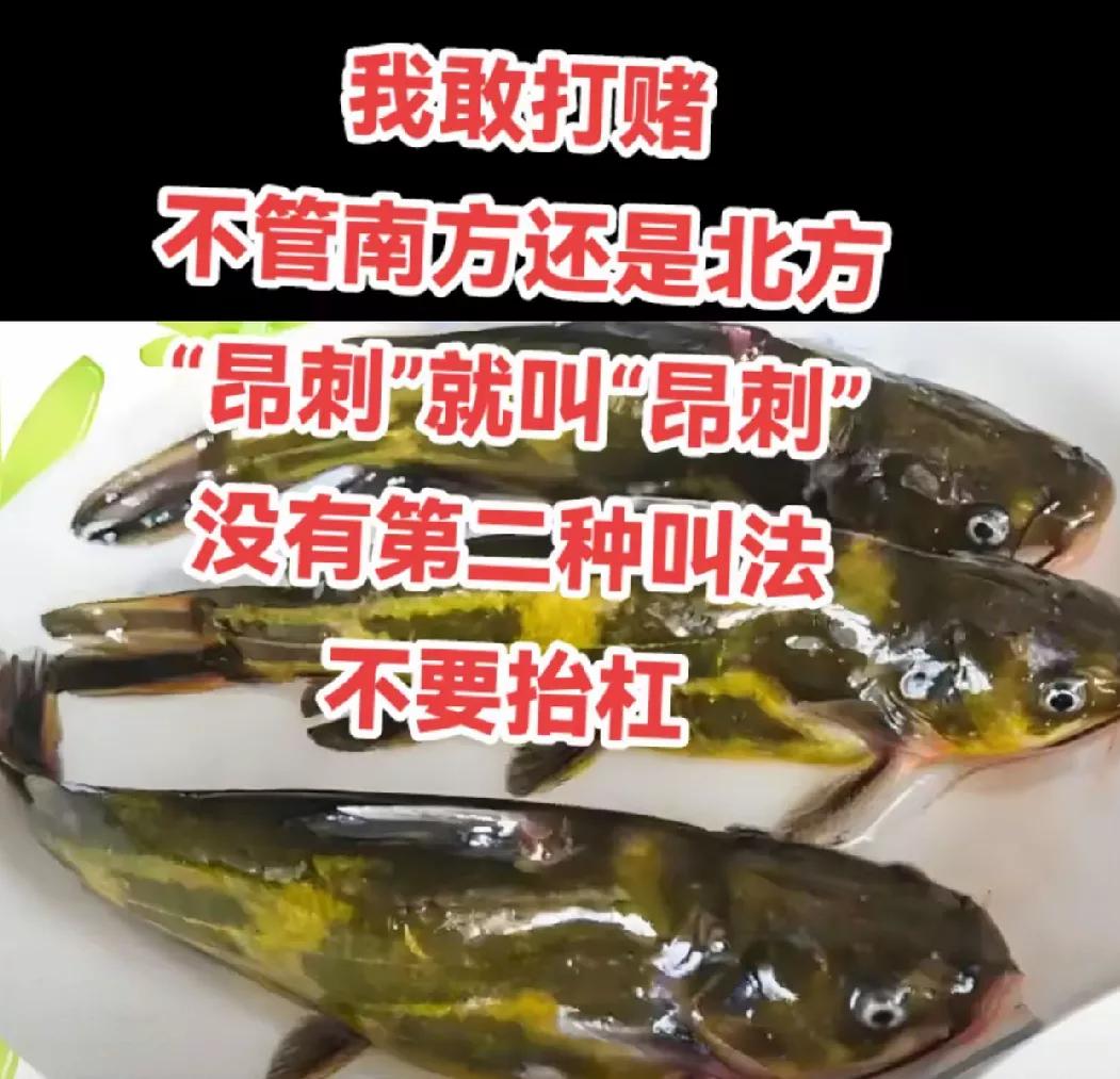 有人说这个只有一种叫法
大家说没有第二种叫法吗？