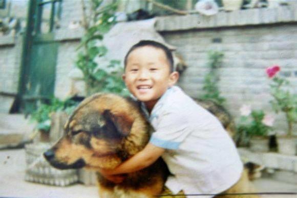这是网友分享的自己和儿时家里养的北方笨狗合照的老照片。图中这条苍黄毛色的笨狗很漂