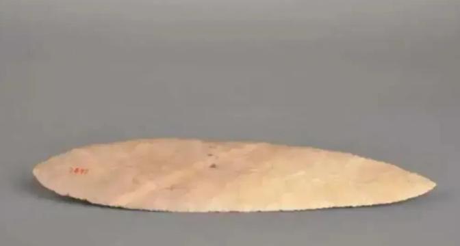 1958年，黑龙江省双鸭山市某村村民老李上山采摘灵芝时，突感腹痛，遂蹲于草丛中方