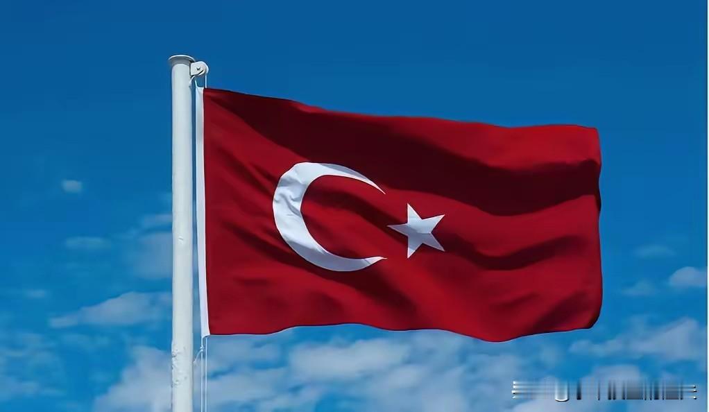 这次土耳其算是彻底打错了算盘！以为还能像当年卡我们要道那样，逼着中国企业低头。结