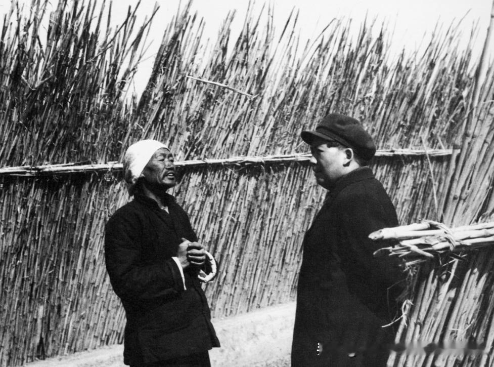 1952年3月毛主席在北京近郊德胜门外访问农民