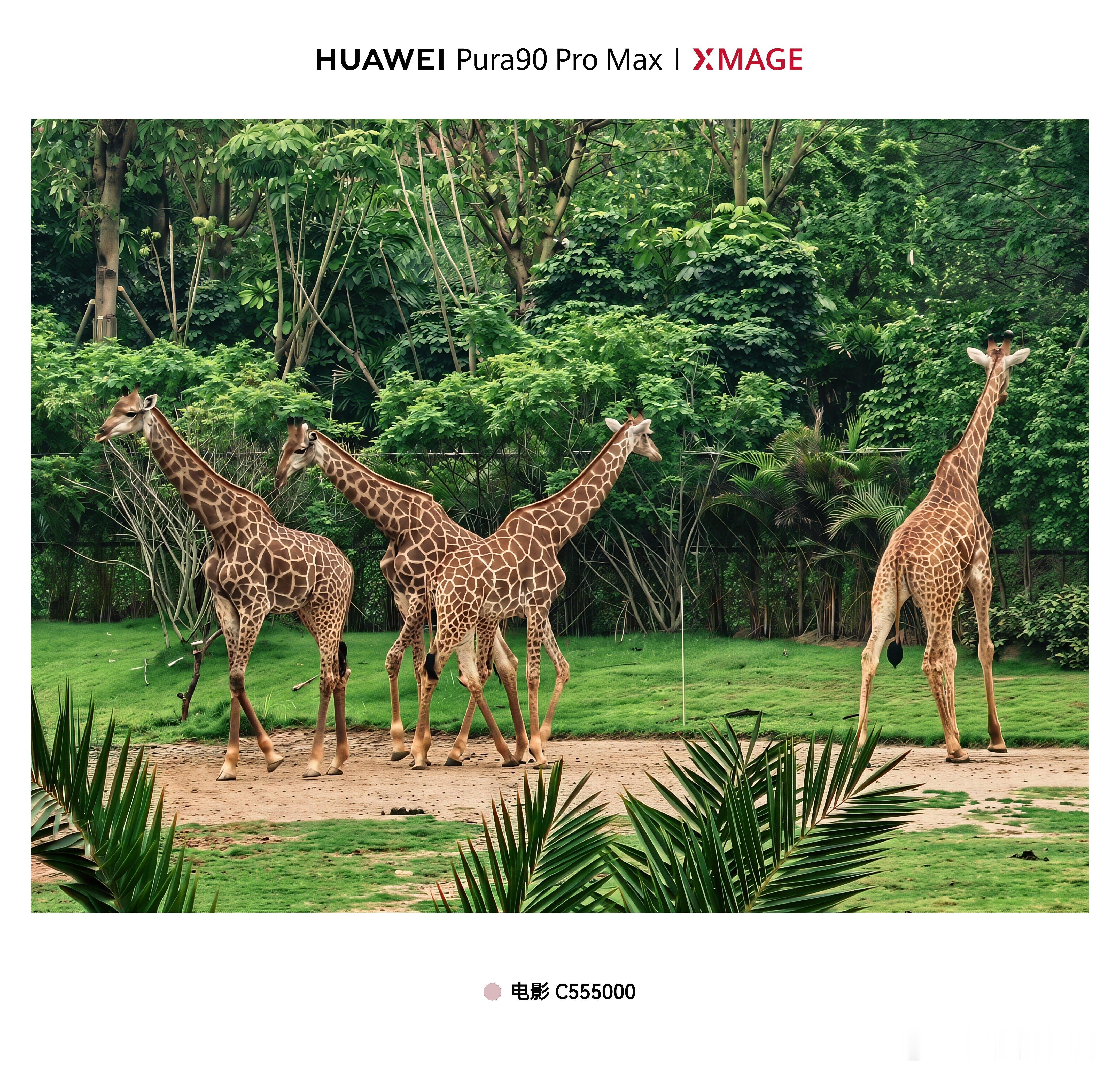华为Pura 90 Pro Max20倍如何有没有堪比增距镜？ 