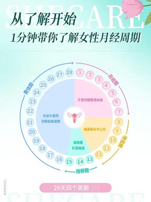 “月经21天 vs 35天，谁老得更快？”——别被伪科学吓哭，真相比你想的更带感