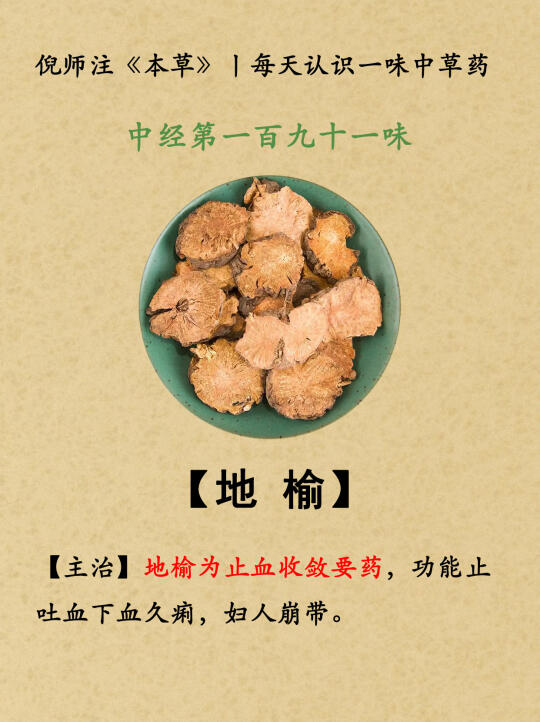 倪师注《本草》丨中经191-地榆—192-海藻