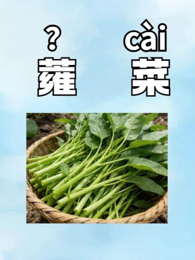 夏天餐桌上最常见、性价比超高的蔬菜，一定少不了空心菜！几乎家家户户都常吃，但很多