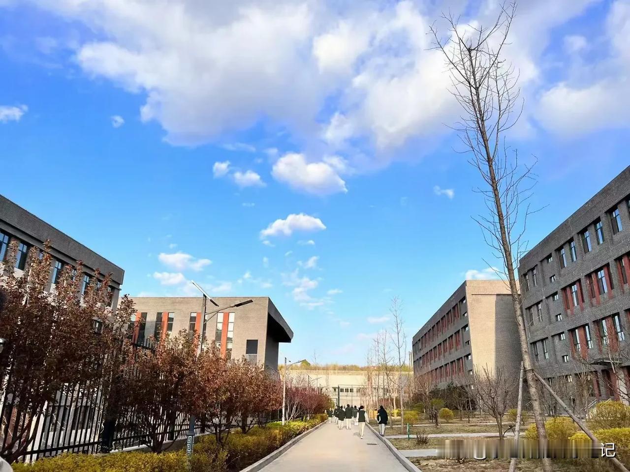 中考成绩分享之北辰双语。

北辰双语是一所民办初中，一年收费3.9万，面向全市招