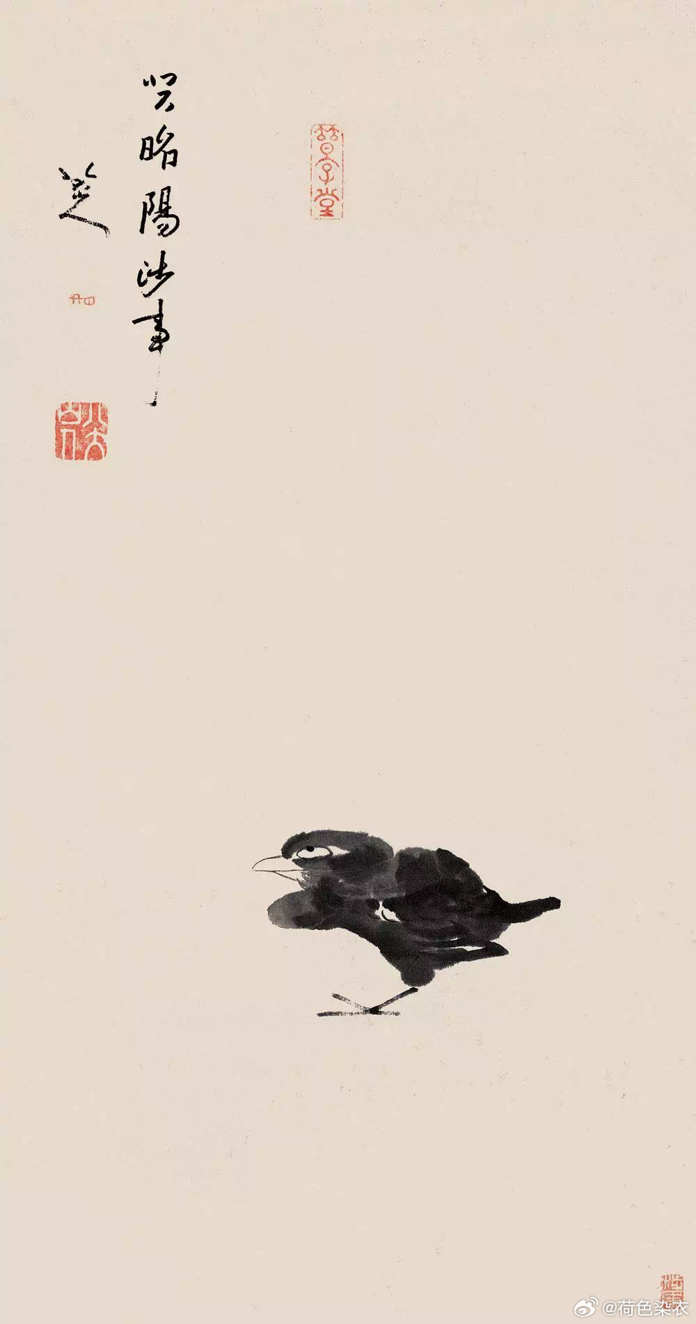 分享图片 ​​​