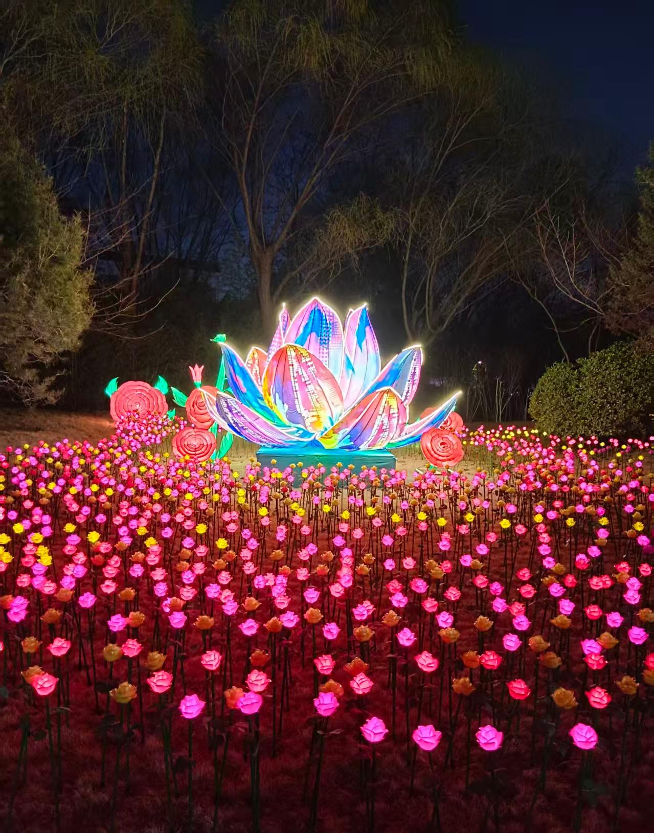 “人究竟可以善良到什么程度？”浙江杭州，外卖小哥凌晨追尾一辆汽车，恳求车主：“能