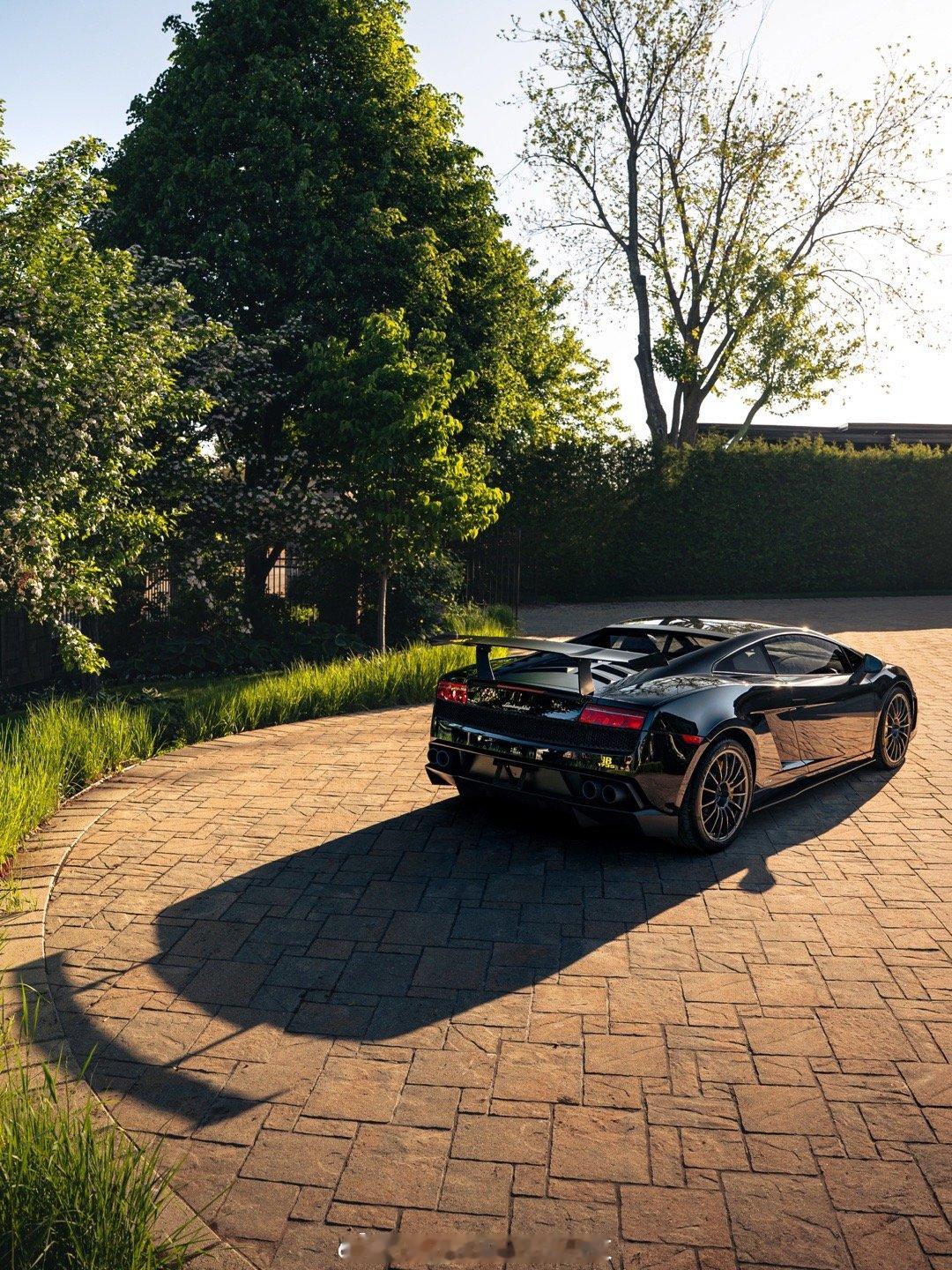 DarwinPROOEM-CARBONLamborghini Gallado"B