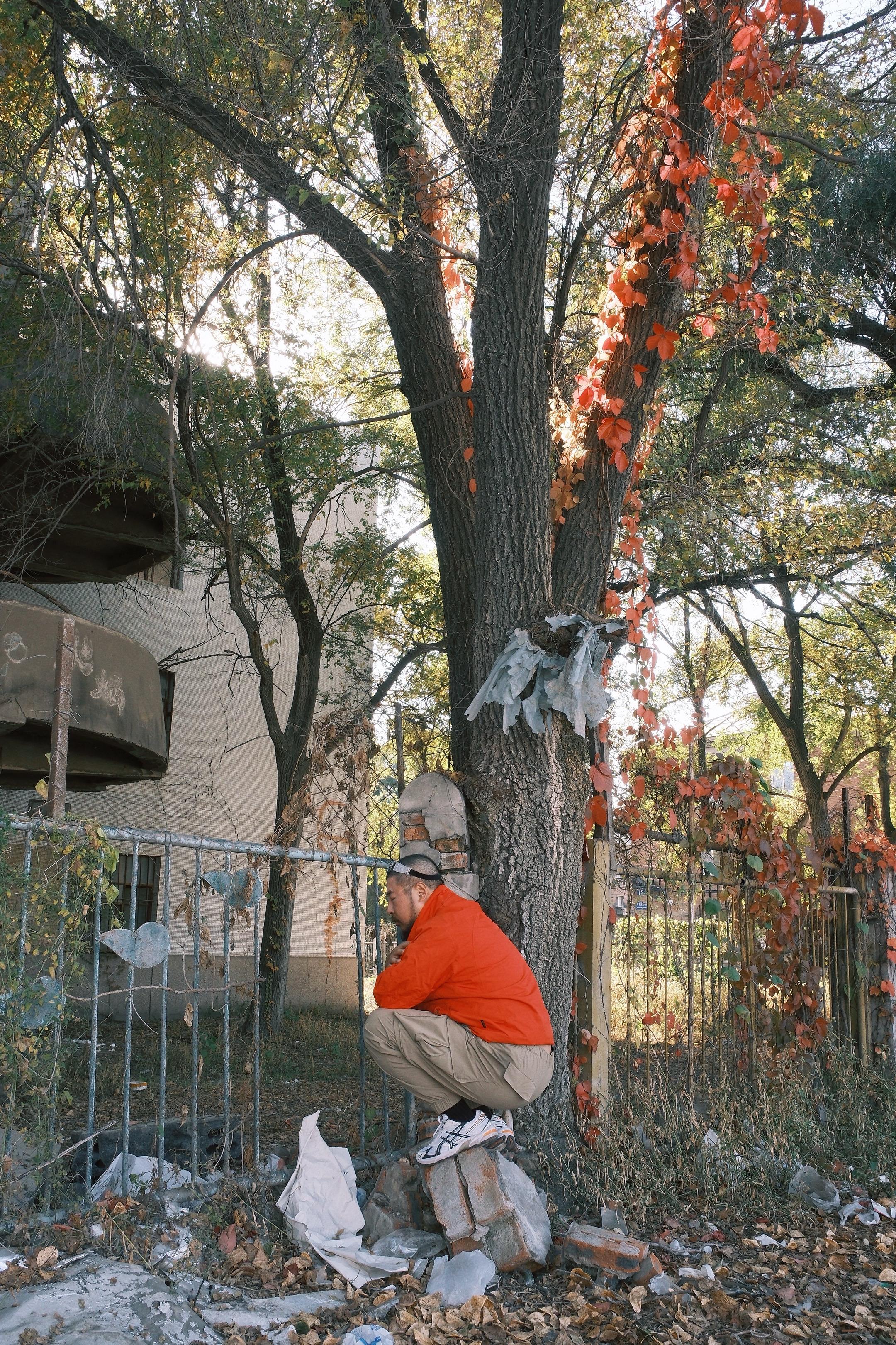荒芜不死，沉寂发芽。