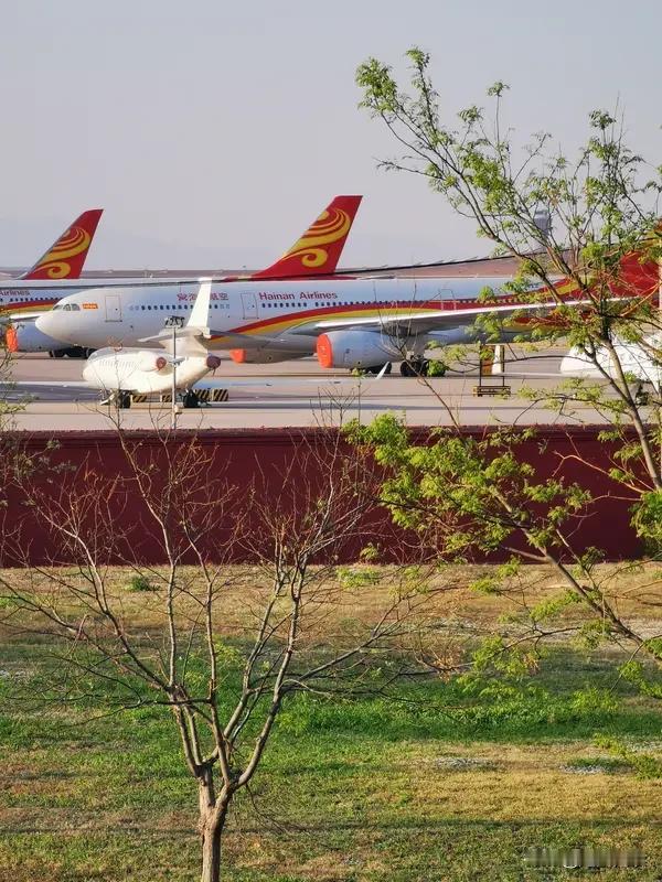 美伊战争可真是闹心，直接影响咱“五一”出行。最近好多网友都在社交平台晒出“五一”