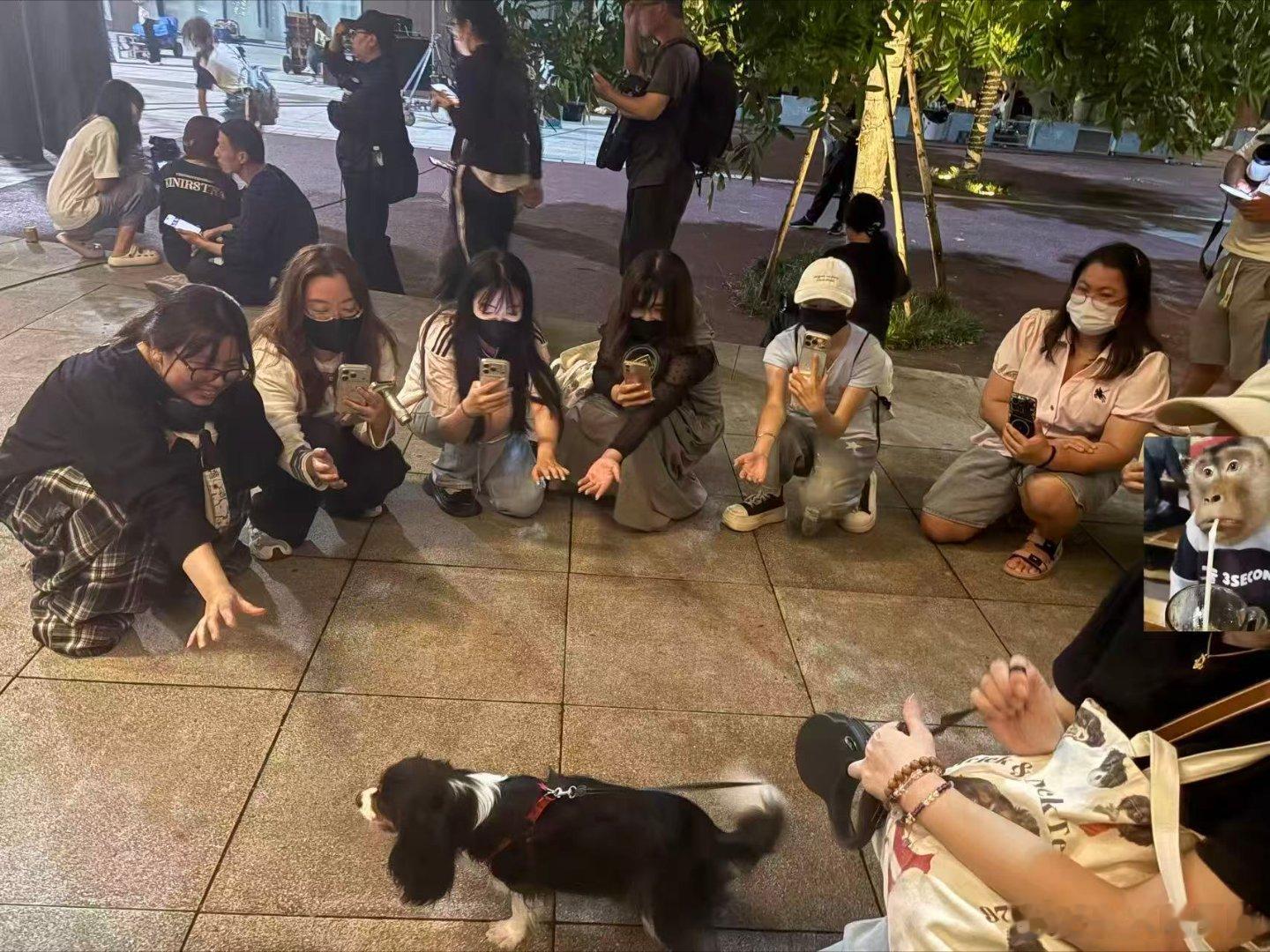 尹浩宇的狗半夜三点还有人拍尹浩宇的狗半夜三点遭围观停止深夜扎堆围拍的举动，让尹浩