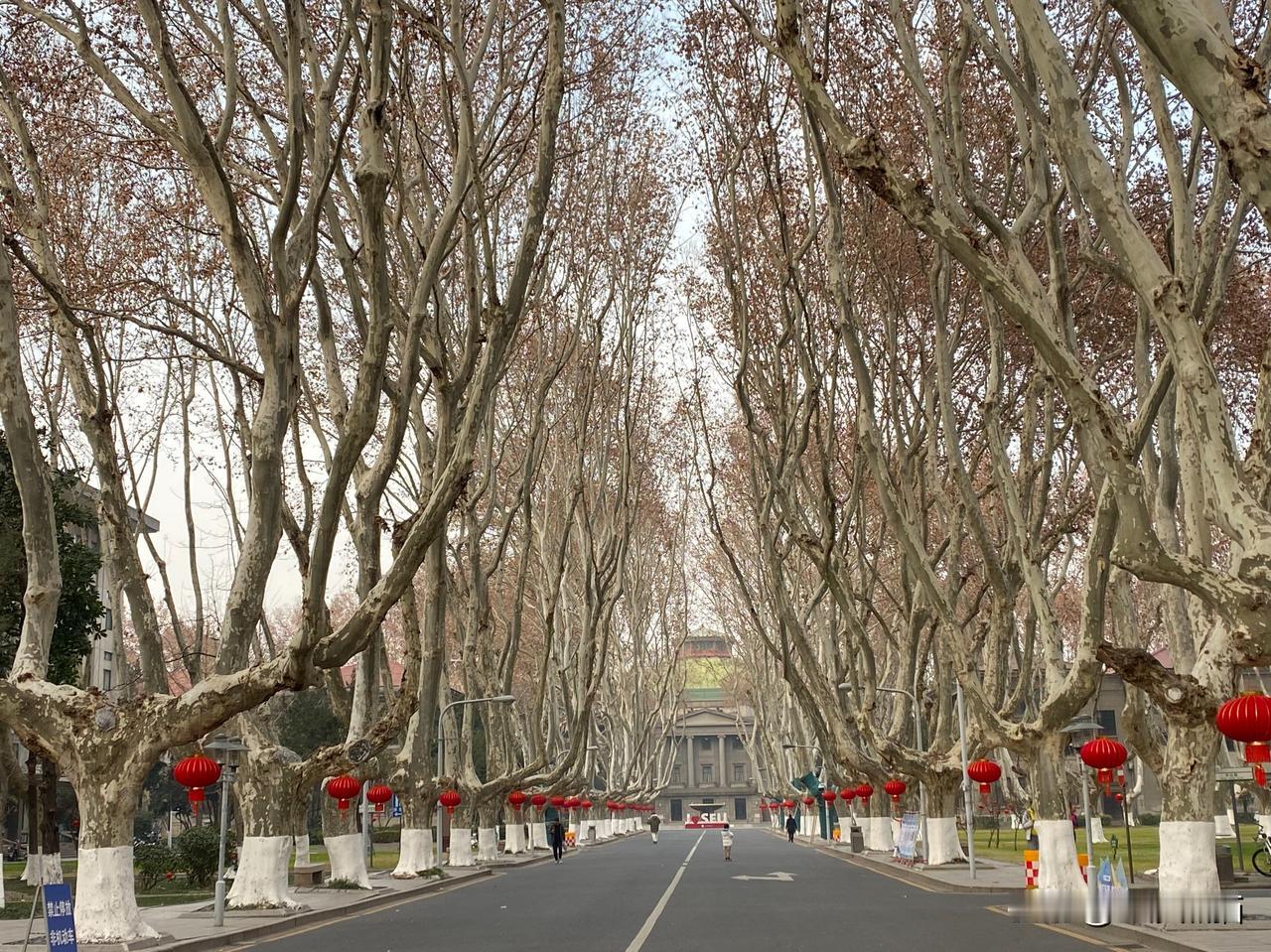 南京东南大学，校园游
进门正对着的大礼堂，那是标志性建筑。
面对大礼堂的右边，是