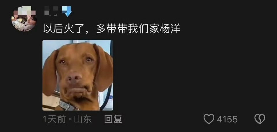 “以后火了，多带带我们家杨洋“，杨洋看了无语，翟子路看了尴尬，只有粉丝在看热闹！