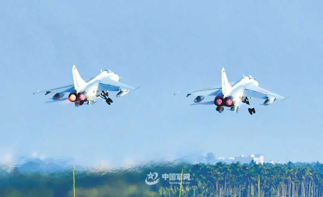 南部飞豹 ​​​