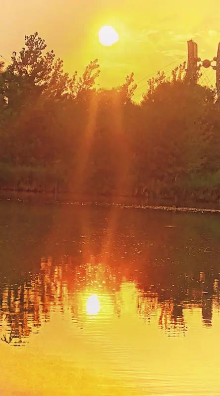 这首《七绝•夕照》着实将秋日傍晚的景色描绘得栩栩如生。“秋阳隐退彩云绵”，秋阳缓